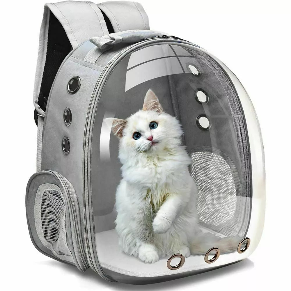 Reisen & Transport für Katzen