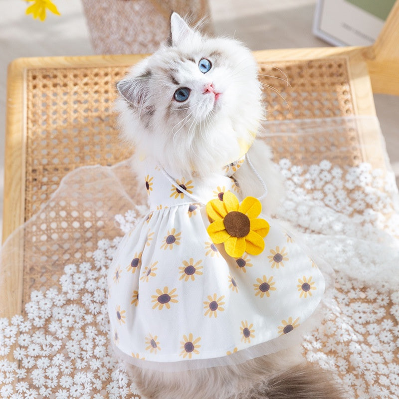 Bekleidung & Accessoires für Katzen