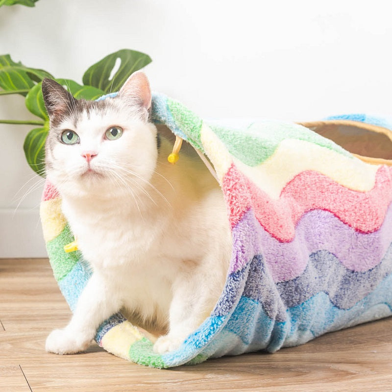 Weiße Katze in buntem, wellenförmigem Katzentunnel aus Plüsch auf Holzboden.