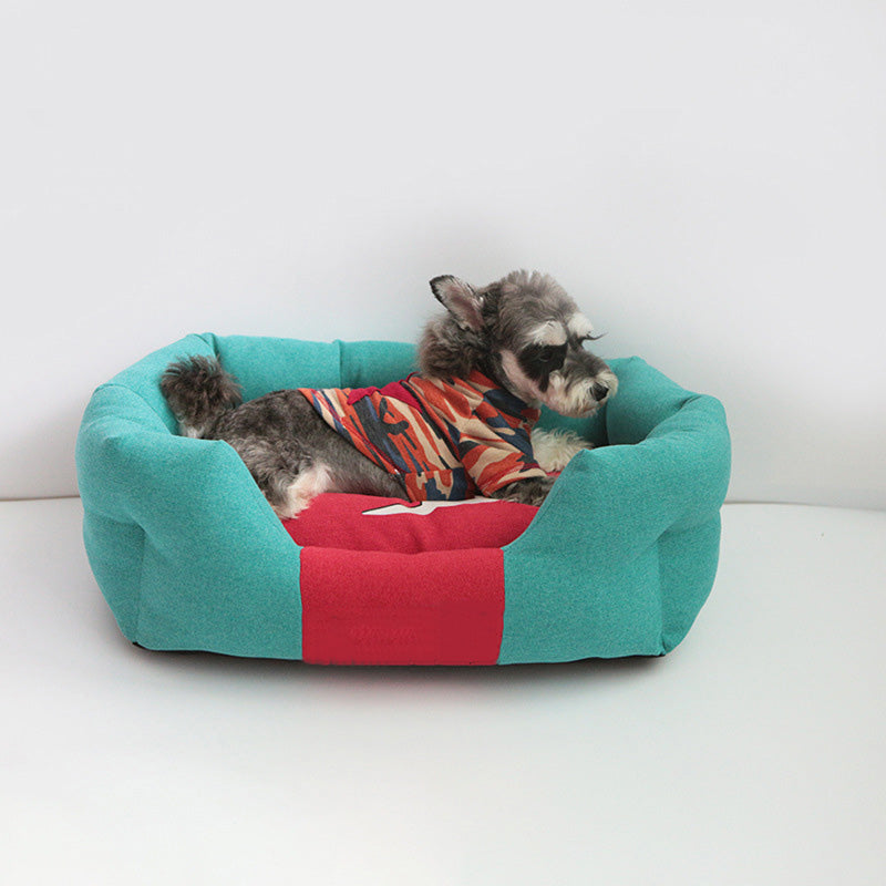 Hund in türkis-rotem Hundebett, gemütlich, modernes Design, Haustierbedarf, Schlafplatz.