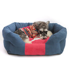 Hund in blauem Hundebett mit rotem Kissen, gemütlich, Haustierbedarf, Schlafplatz für Hunde.