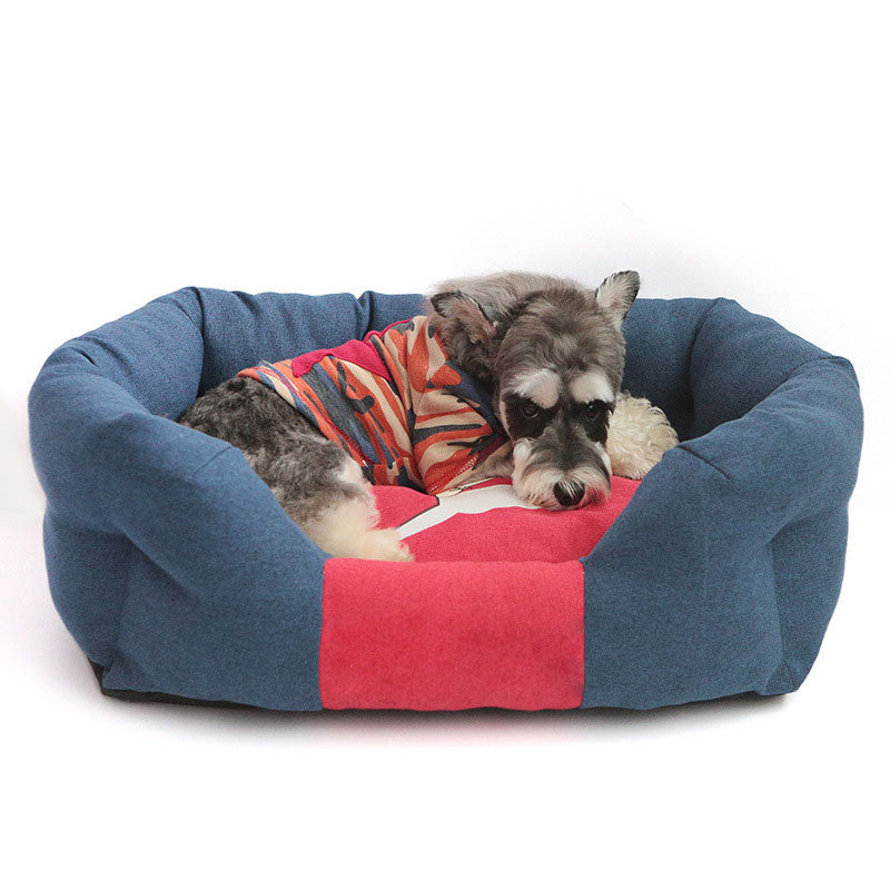 Hund in blauem Hundebett mit rotem Kissen, gemütlich, Haustierbedarf, Schlafplatz für Hunde.