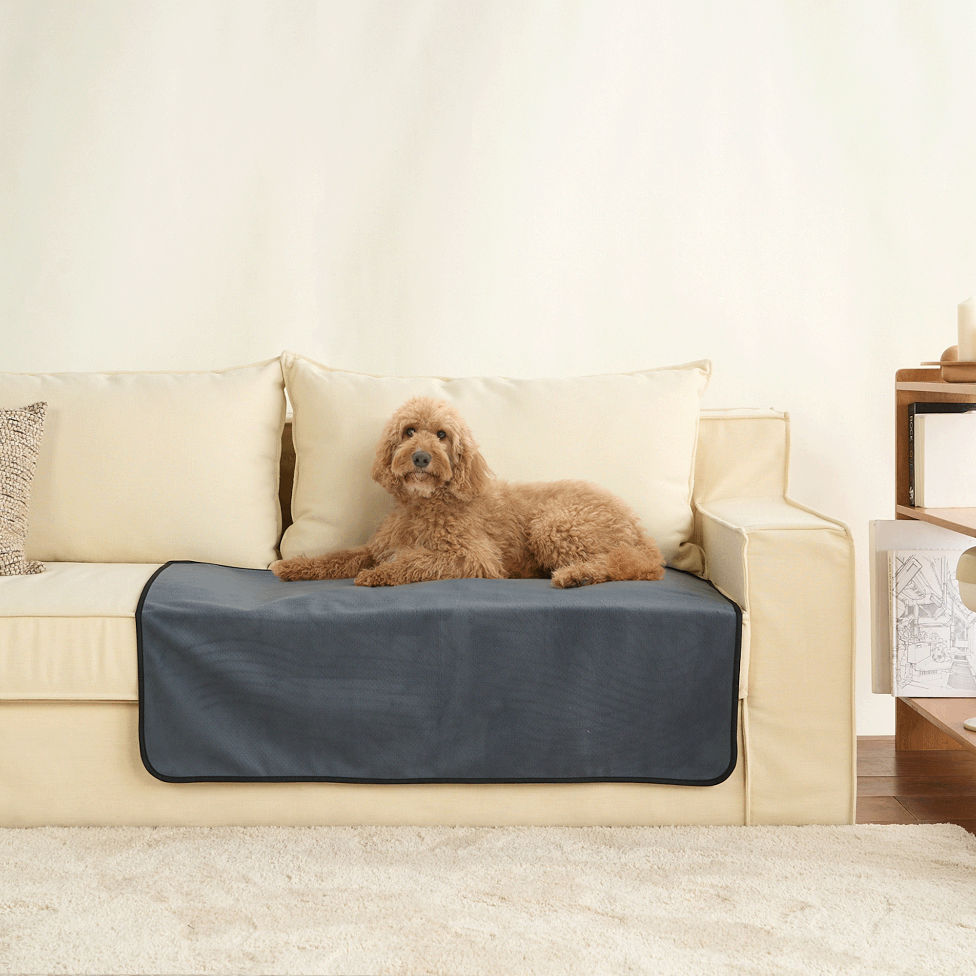 Hund auf grauem, waschbarem Haustier-Pad auf beigem Sofa, ideal für saubere Möbel.