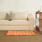 Wasserfeste orange Haustiermatte auf Teppich vor beigem Sofa im Wohnzimmer.