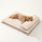 Hundebett mit Kissen, beige, Anti-Angst, Tiefschlaf, Komfort, weiches Material, mittelgroßer Hund.