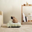 Kleiner Hund auf grünem, flauschigem Kissen im Wohnzimmer, neben Regal mit Büchern und Lampe.
