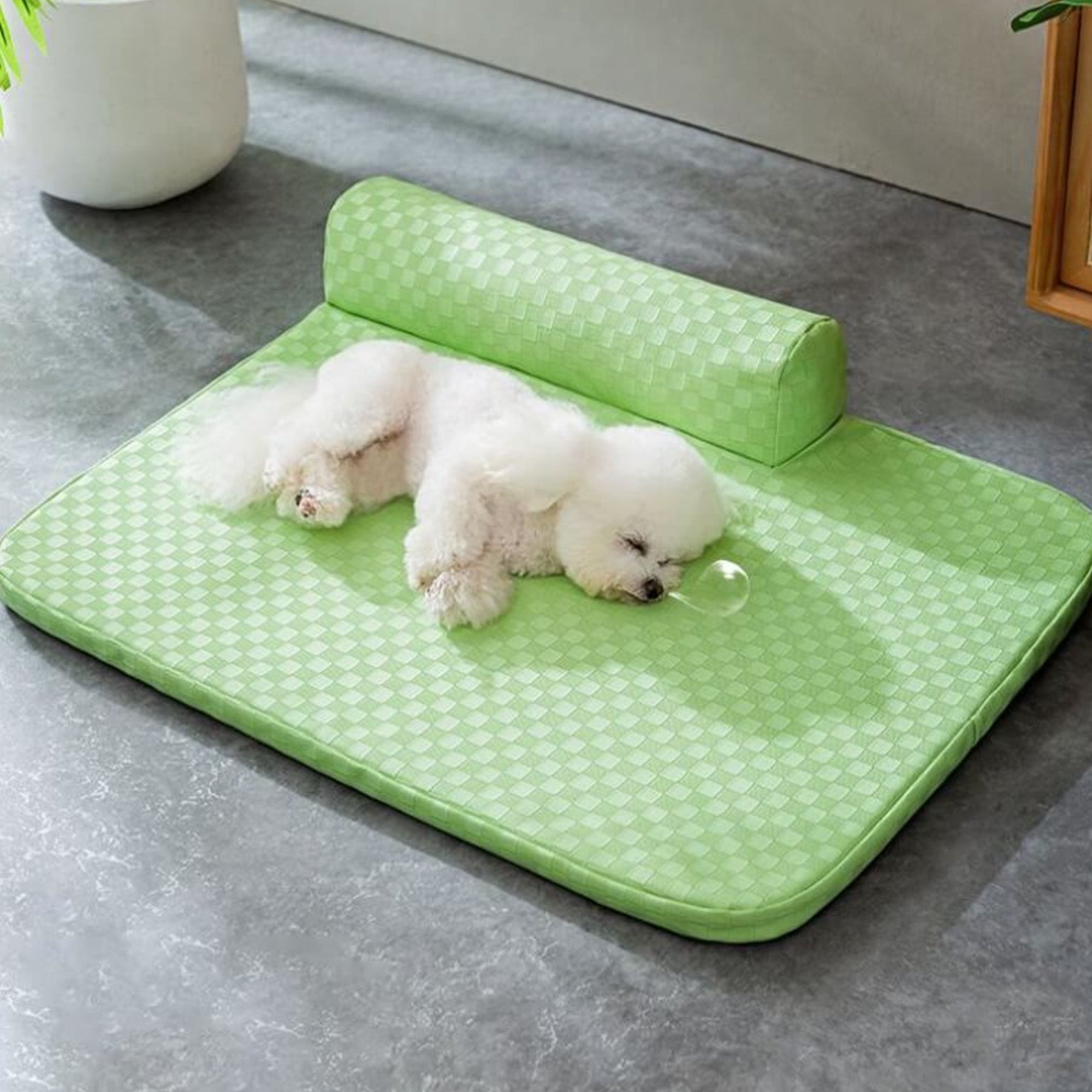 Grünes kariertes Kunstleder-Hundebett, wasserdicht, kratzfest, mit kleinem weißen Hund.