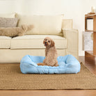Wasserdichtes Kühl-Hundebett, mittelgroß, blau, bequem, ideal für Haustiere im Sommer.