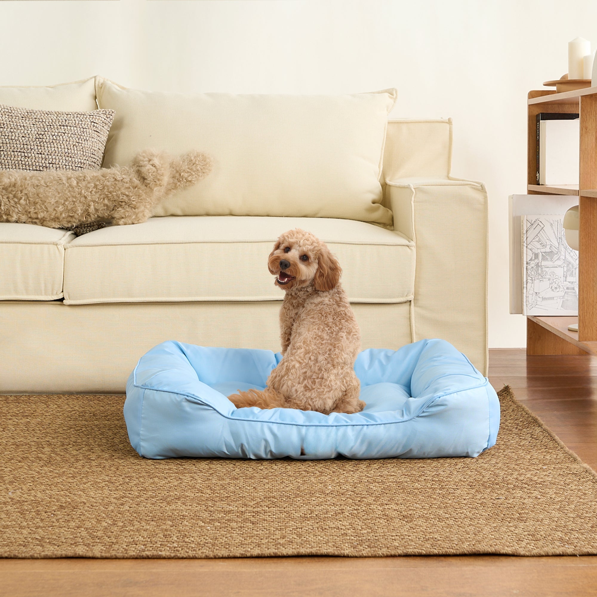 Wasserdichtes Kühl-Hundebett, mittelgroß, blau, bequem, ideal für Haustiere im Sommer.