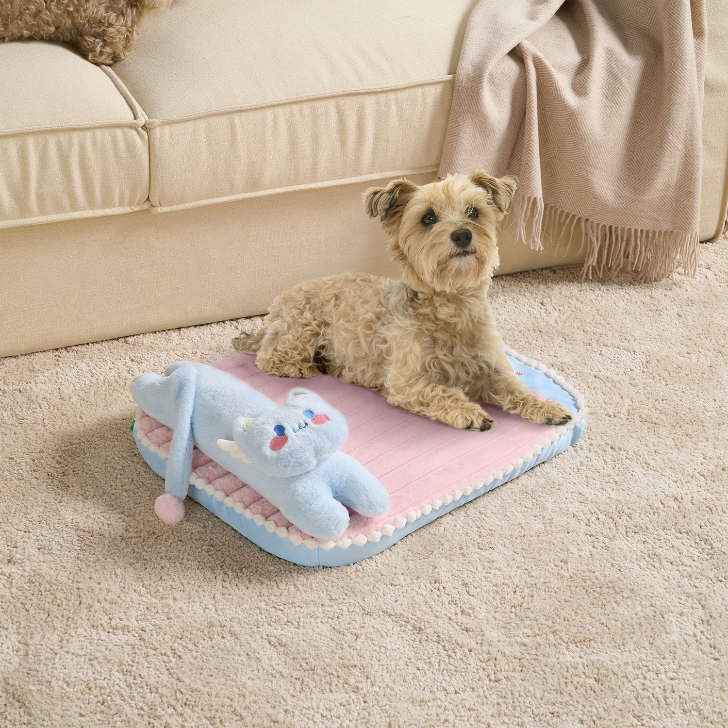 Kleiner Hund auf rosa-blauem Katzenbett, Plüschspielzeug, Wohnzimmer, gemütlich, Haustierbedarf.