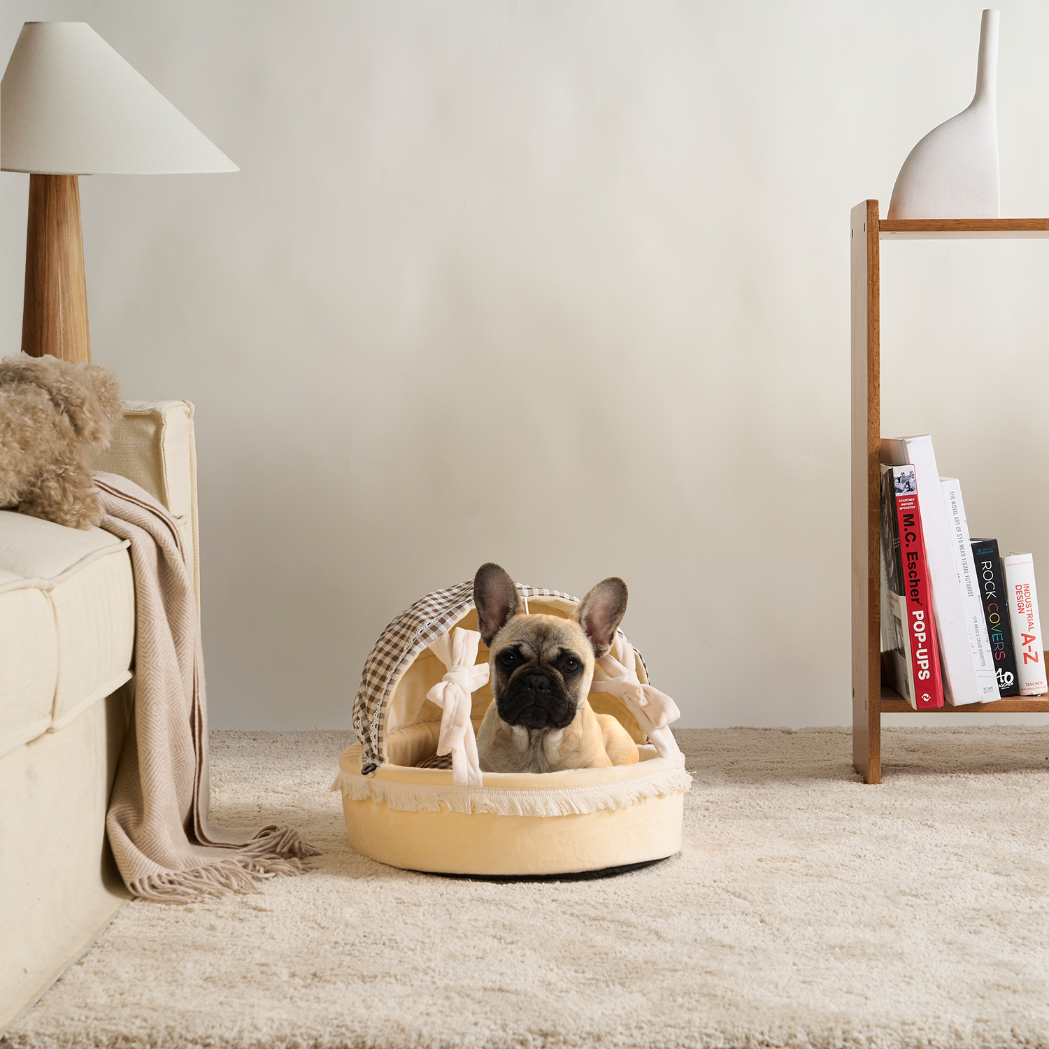 Französische Bulldogge in beigem, gemütlichem Katzenbett auf Teppich im Wohnzimmer.
