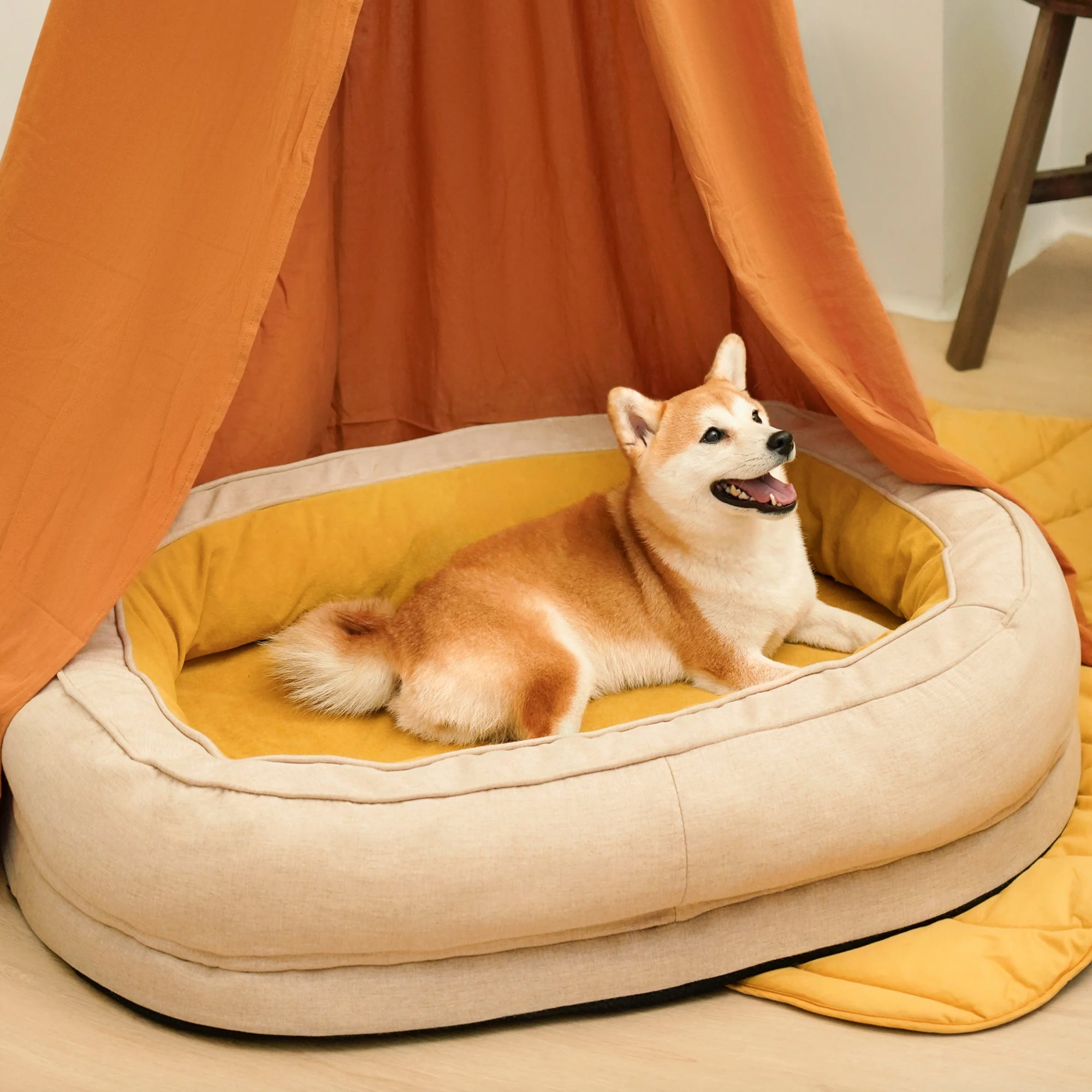 Hundebett Donutform beige, gemütlich, hochwertig, mit Hund, ideal für Haustierkomfort.