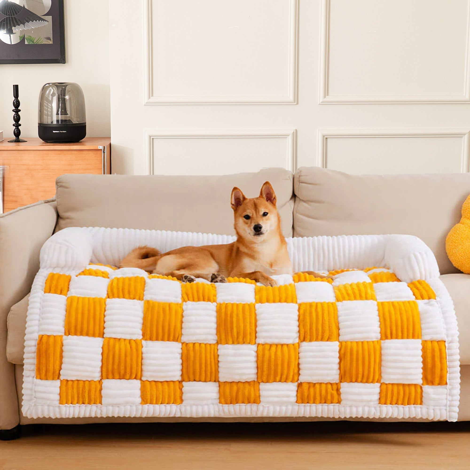 Hund auf creme-gelbem kariertem Hundematte, Möbelbezug, gemütlich, quadratisch, Wohnzimmer.