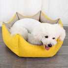 Gelbes Kronenform-Haustierbett, gemütliches Hundebett, weicher Stoff, ideal für kleine Hunde.
