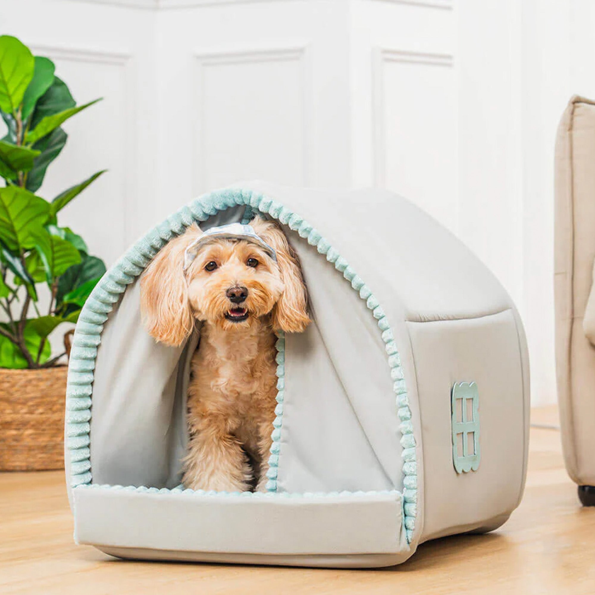 Hund in grauem, geschlossenem Hundebett mit Vorhang, gemütliches Haustierhaus, Wohnzimmer.