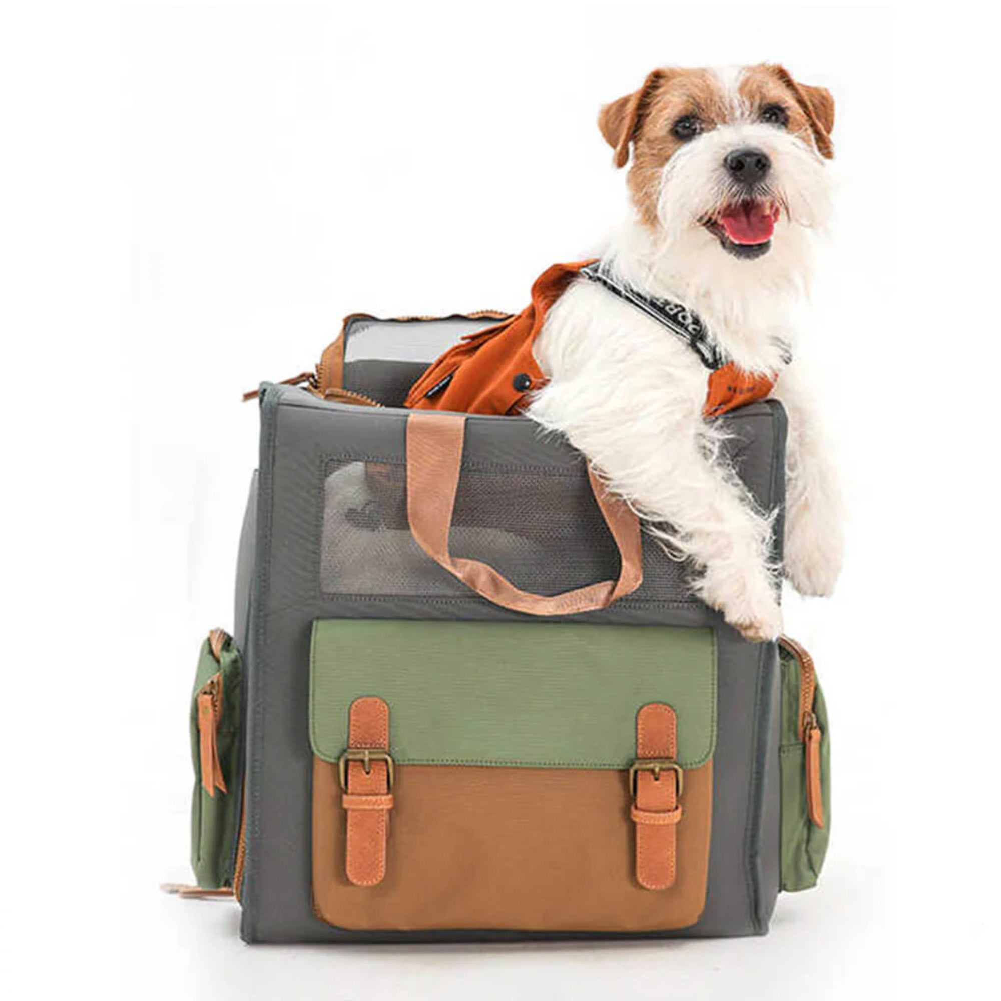 Zweifarbiger, atmungsaktiver, wasserdichter Canvas-Haustier-Rucksack mit Hund.