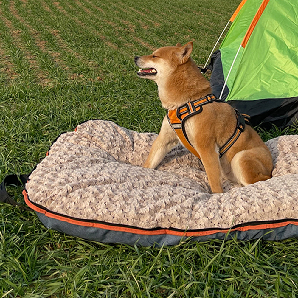 Hund auf faltbarer tragbarer Haustiermatte im Freien, beige, Camping, bequem, strapazierfähig.
