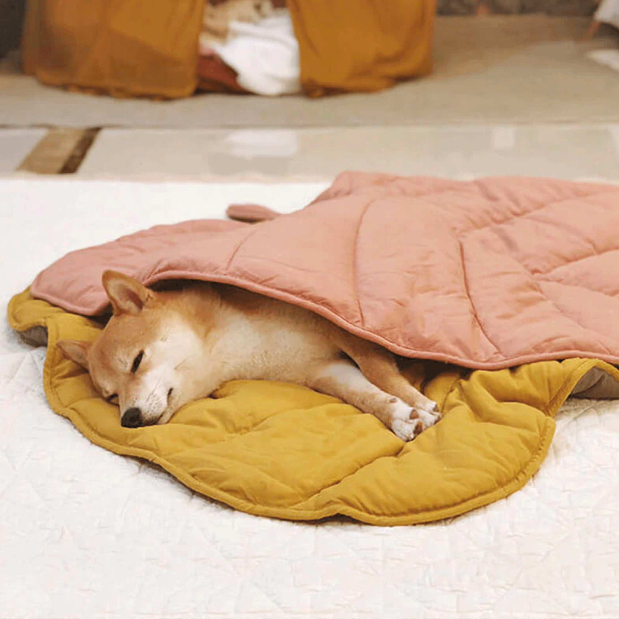 Hund schläft auf gelber und rosa Haustiermatte, gemütliche Hundedecke, Haustierzubehör.