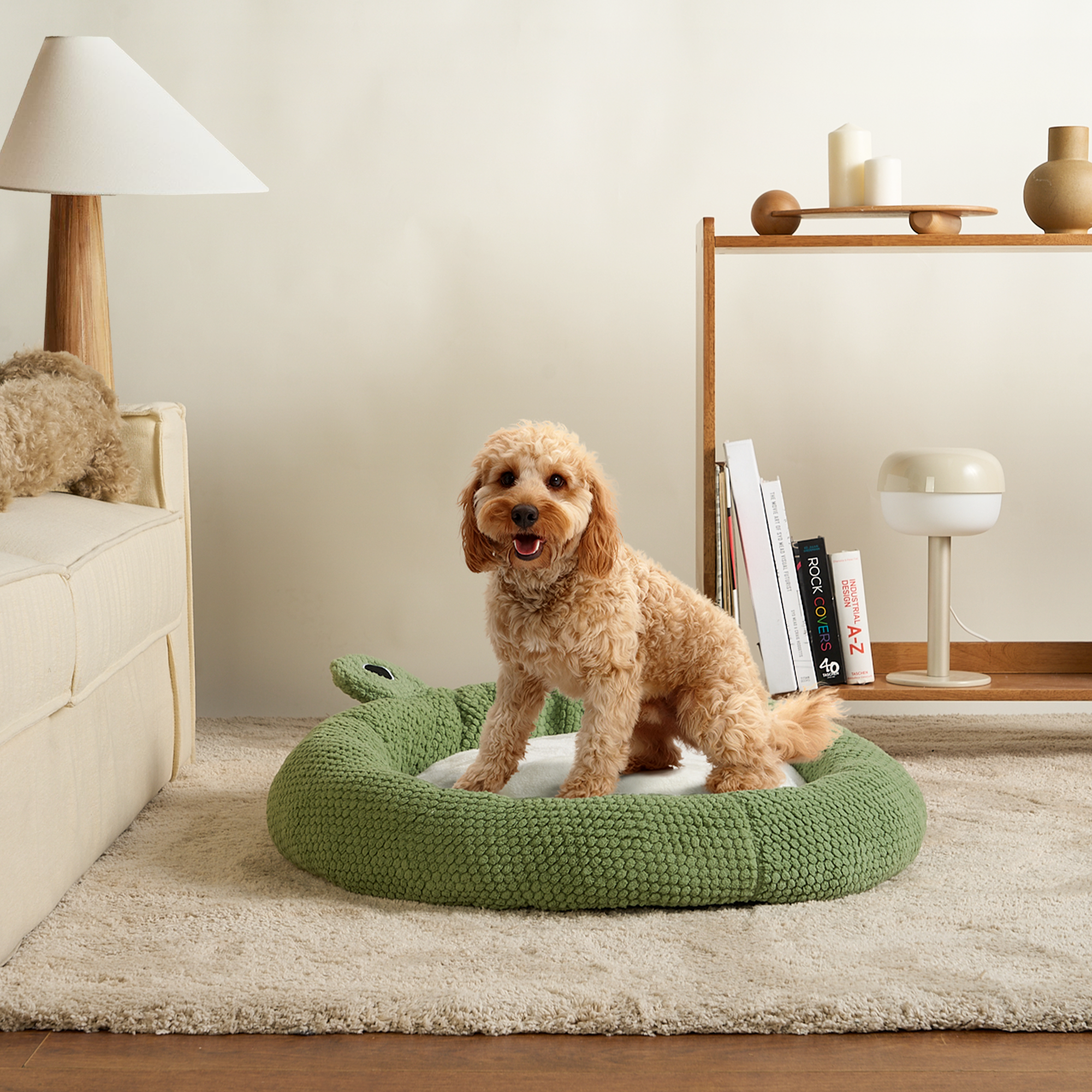 Lockiges Hund sitzt auf grünem, plüschigem Hundebett im Wohnzimmer, moderne Einrichtung.