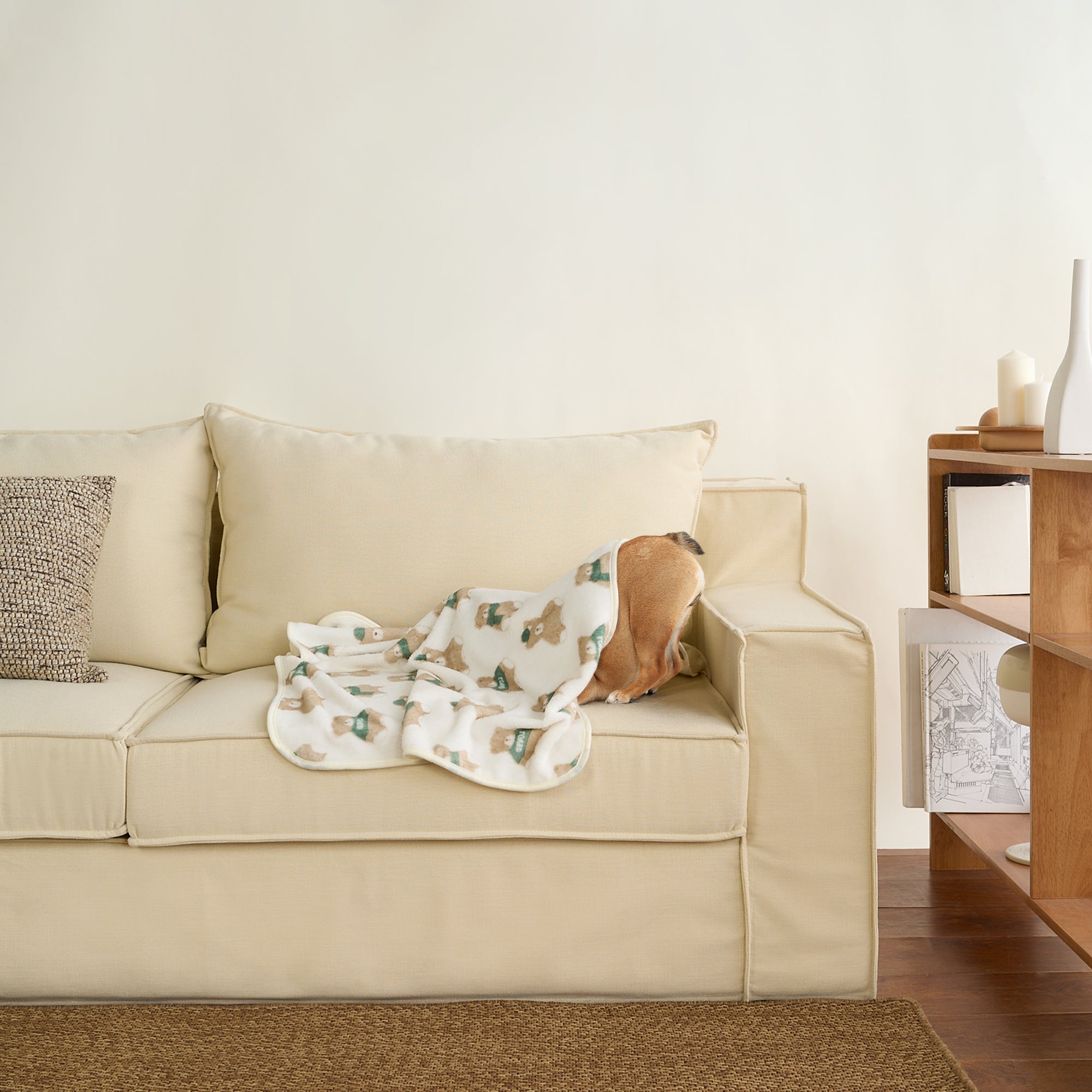 Hund auf beiger Couch mit weicher, gemusterter Haustierdecke, Wohnzimmer, gemütlich, modern.