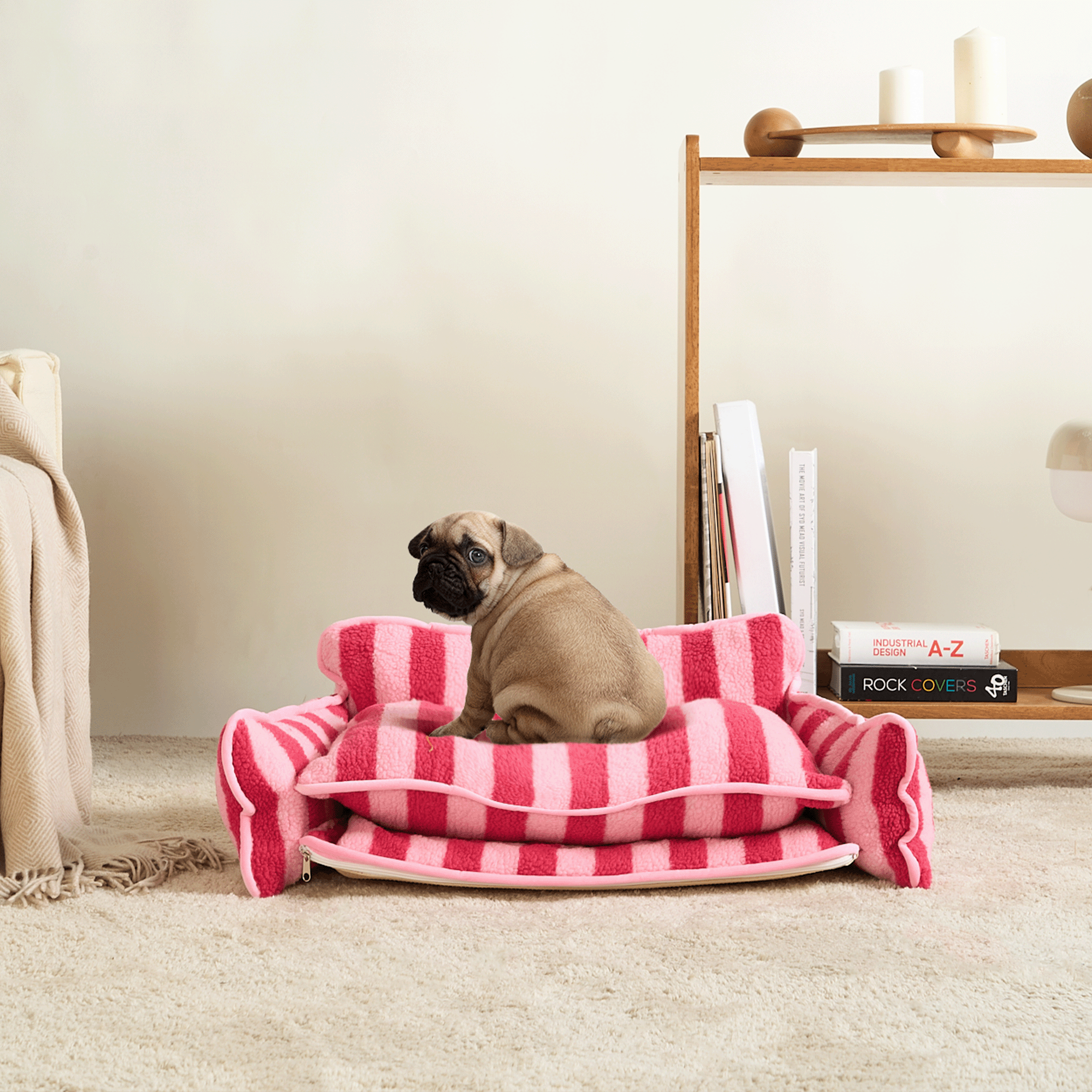 Mops auf rosa-weiß gestreiftem Hundesofa aus Lammwolle im Wohnzimmer, modernes Design.