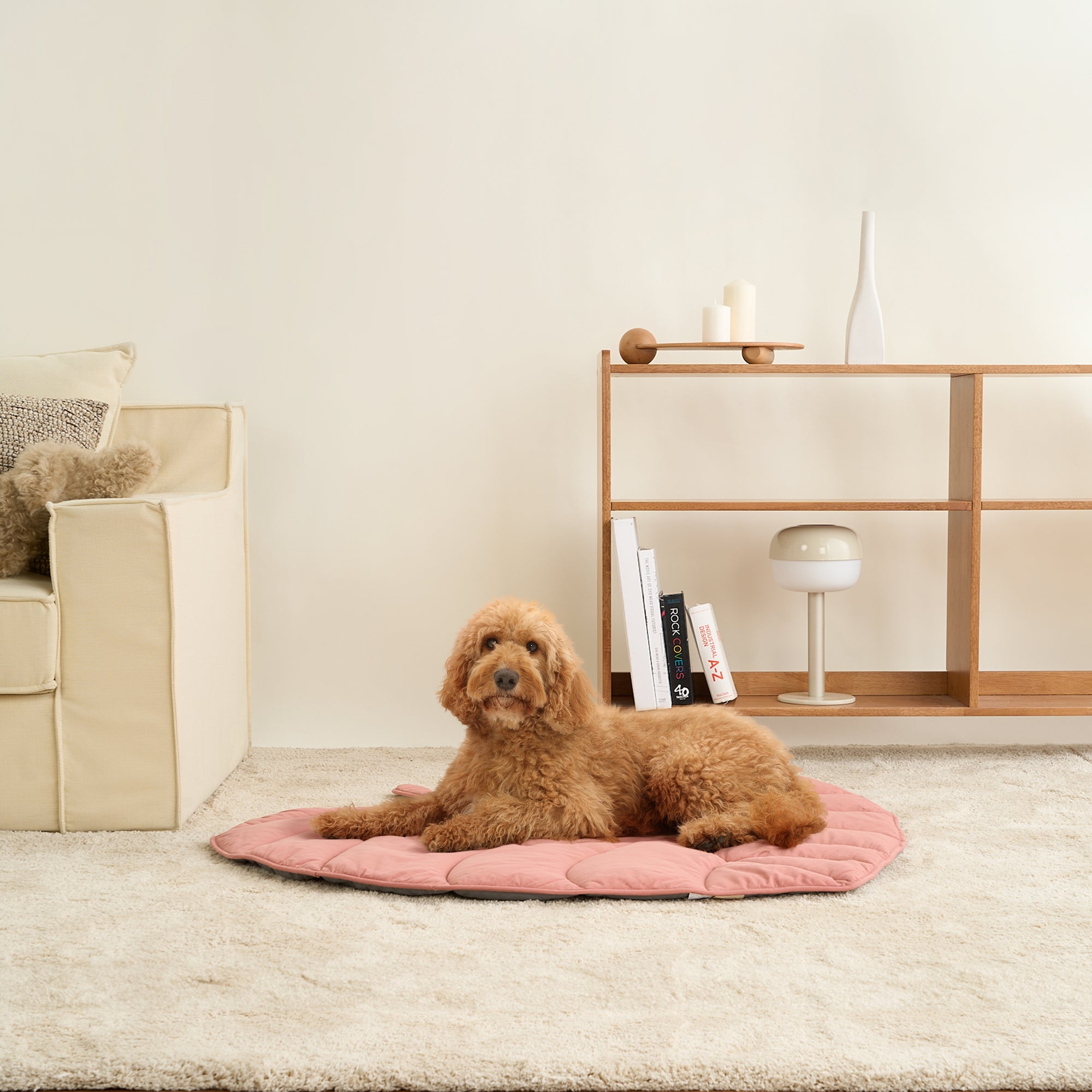Hund auf rosa Haustierdecke im Wohnzimmer, modernes Design, gemütliche Einrichtung.