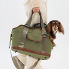 Grüne wasserdichte Haustier-Reisetasche mit braunen Akzenten, Hund schaut heraus.