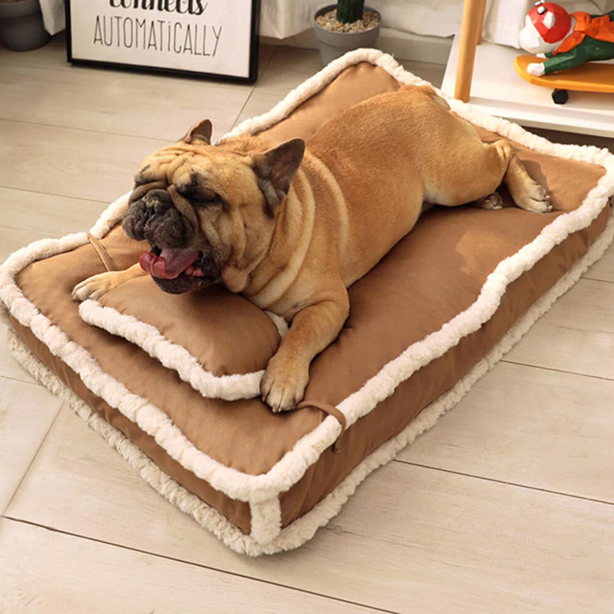 Französische Bulldogge auf luxuriösem Retro-Kunstleder-Hundebett mit Kissen, braun.