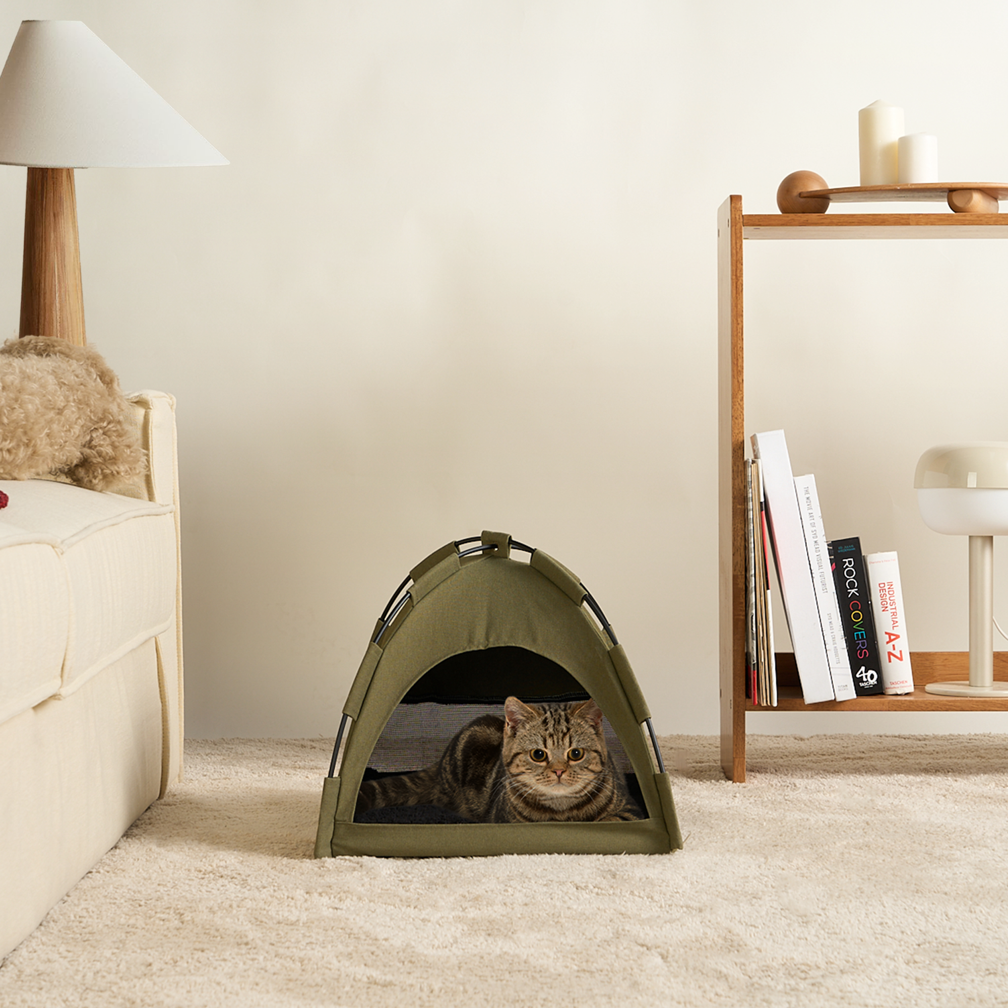 Grünes Katzenzelt auf Teppich, Katze im Inneren, modernes Wohnzimmer, Haustierzubehör.