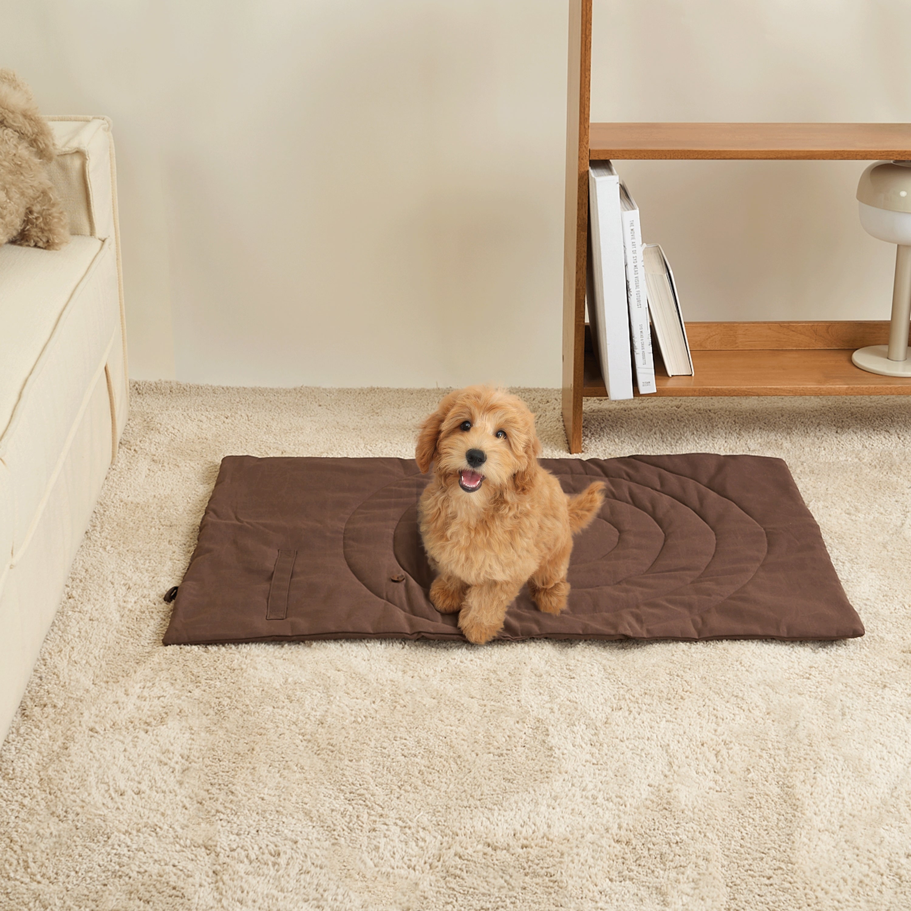 Braune Hundematte auf Teppich mit sitzendem Welpen, waschbar, rutschfest, ideal für Haustiere.