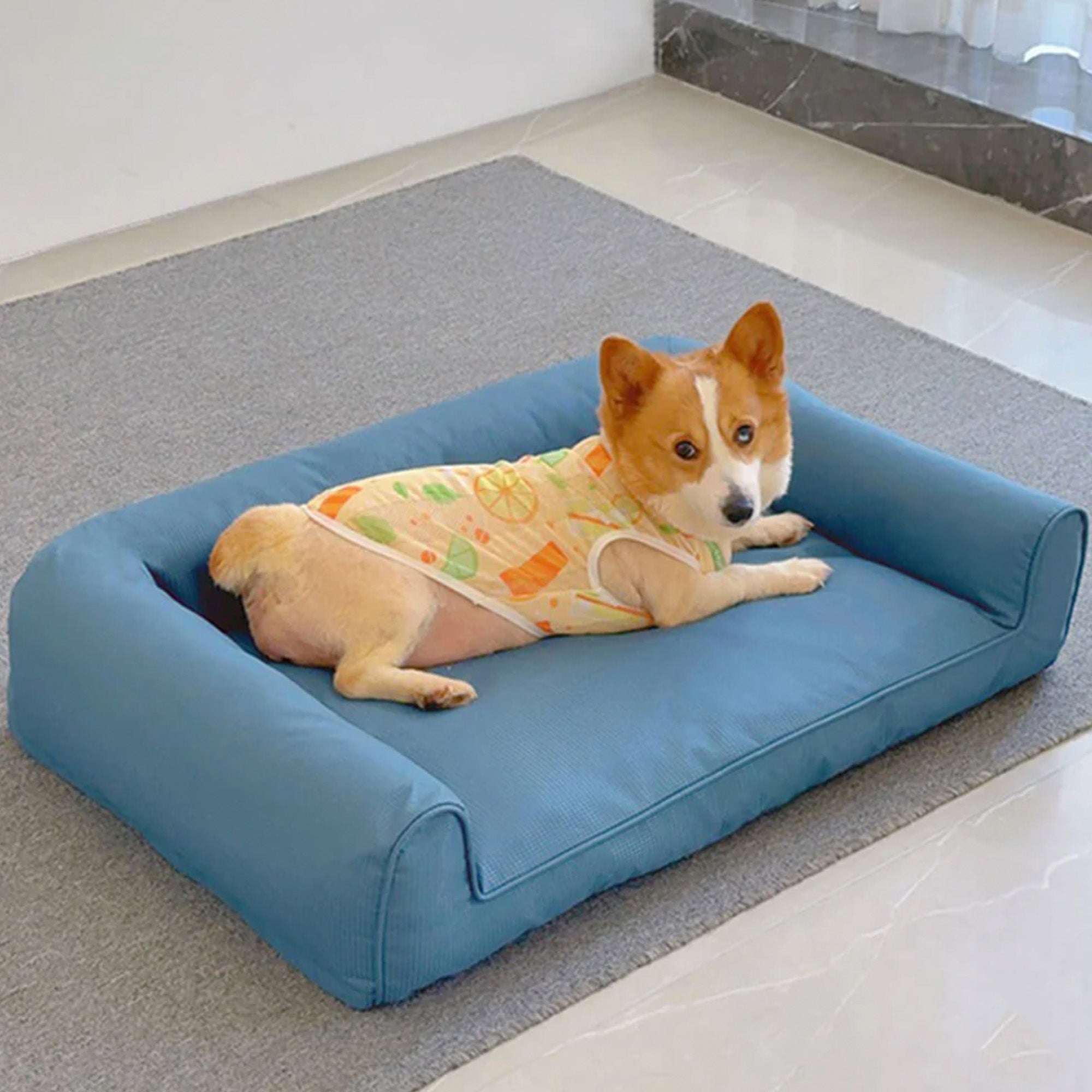 Hundebett aus Oxford-Stoff, wasserdicht, abnehmbar, rutschfest, orthopädisch, blau.