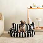 Gestreiftes Hundebett mit Welpe, schwarz-weiß, gemütlich, Wohnzimmer, modernes Design.