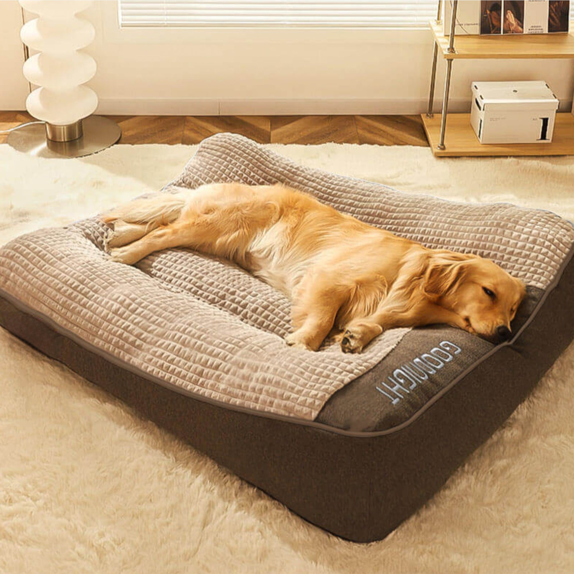 Goldener Retriever schläft auf orthopädischem Hundebett, beige und grau, im Wohnzimmer.