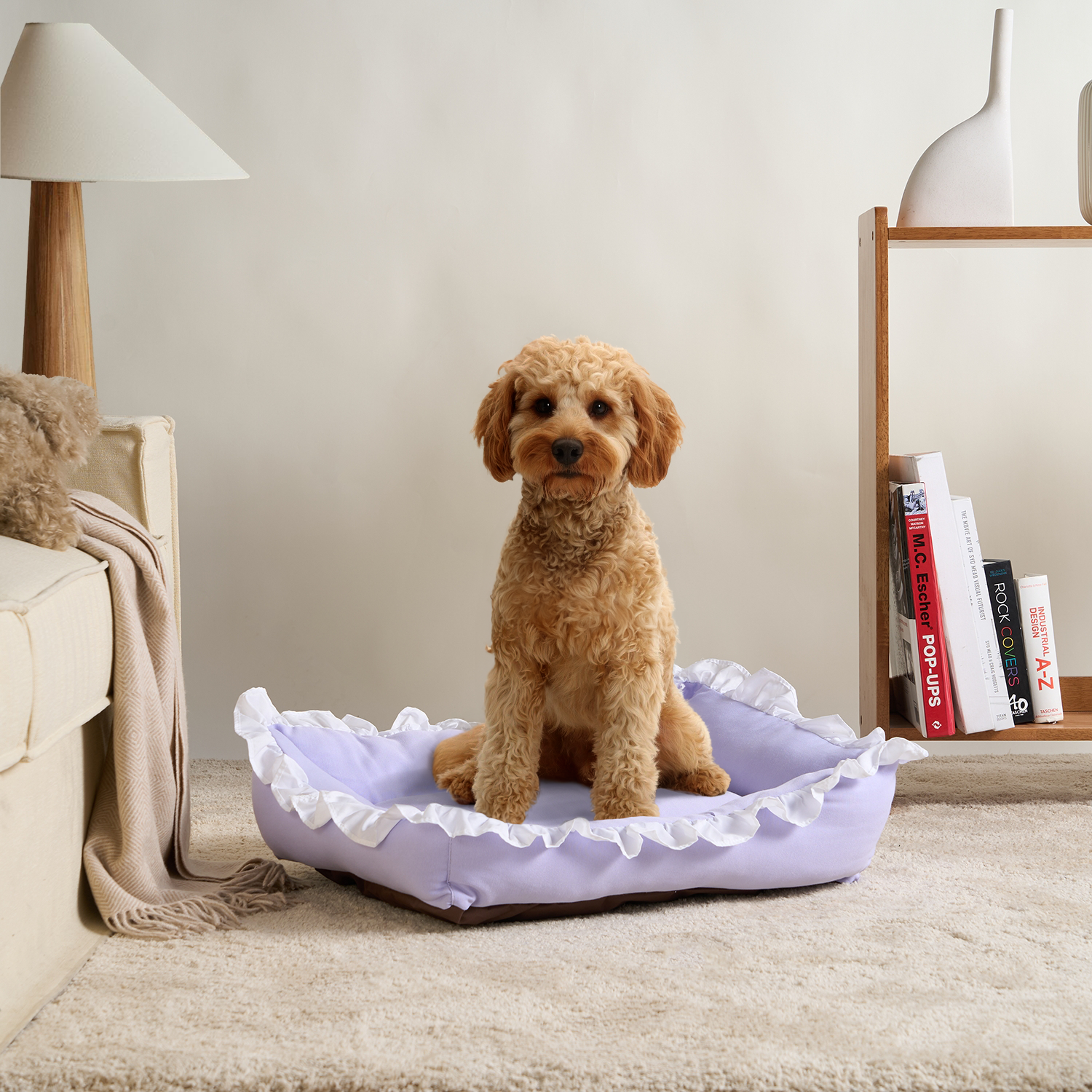 Hund auf lila Plüsch-Haustierbett mit Rüschen, Wohnzimmer, Hundebett, gemütlich, stilvoll.