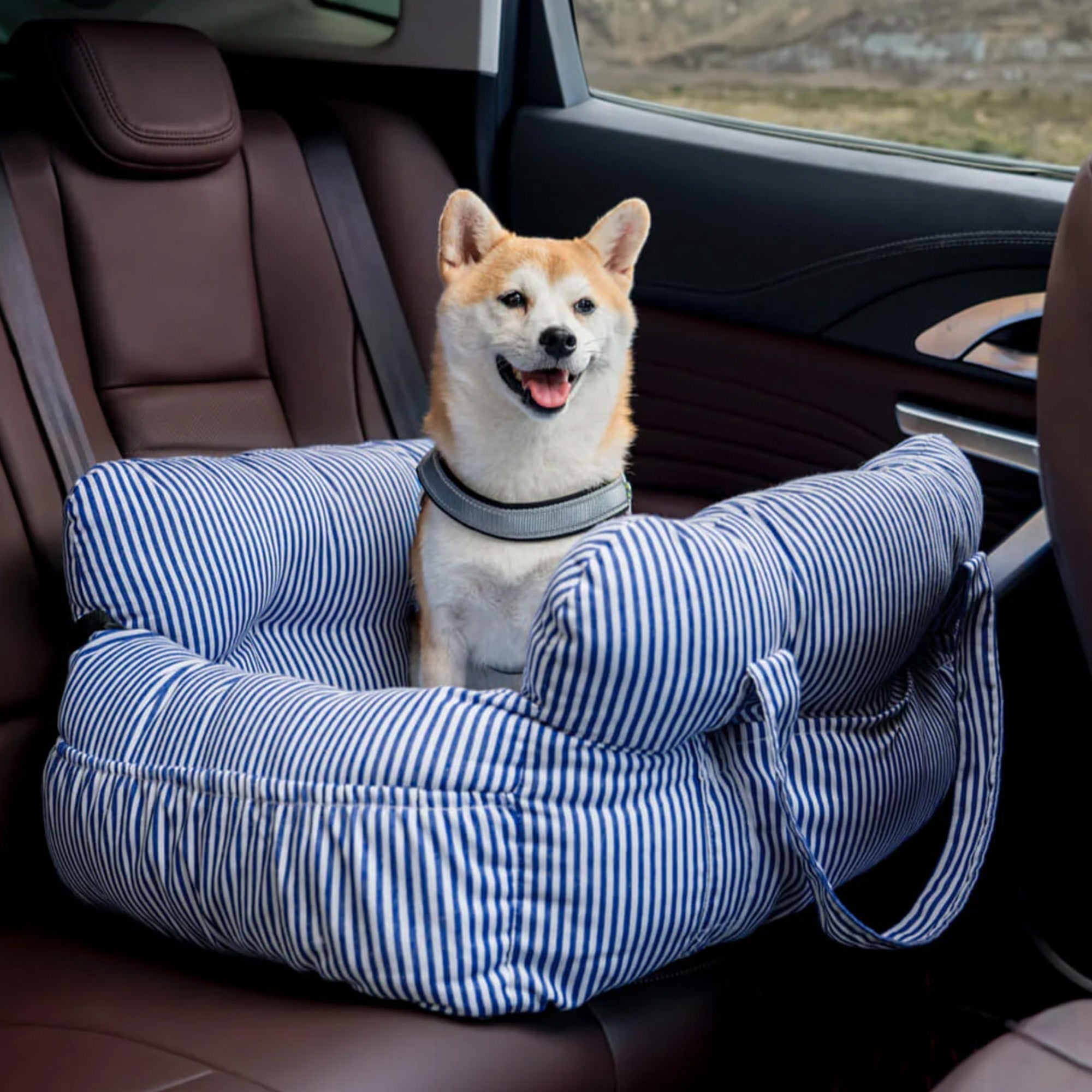 Hundebett Auto, gestreift, tragbar, für große Hunde, bequem, blau-weiß, Reisen, Haustier.