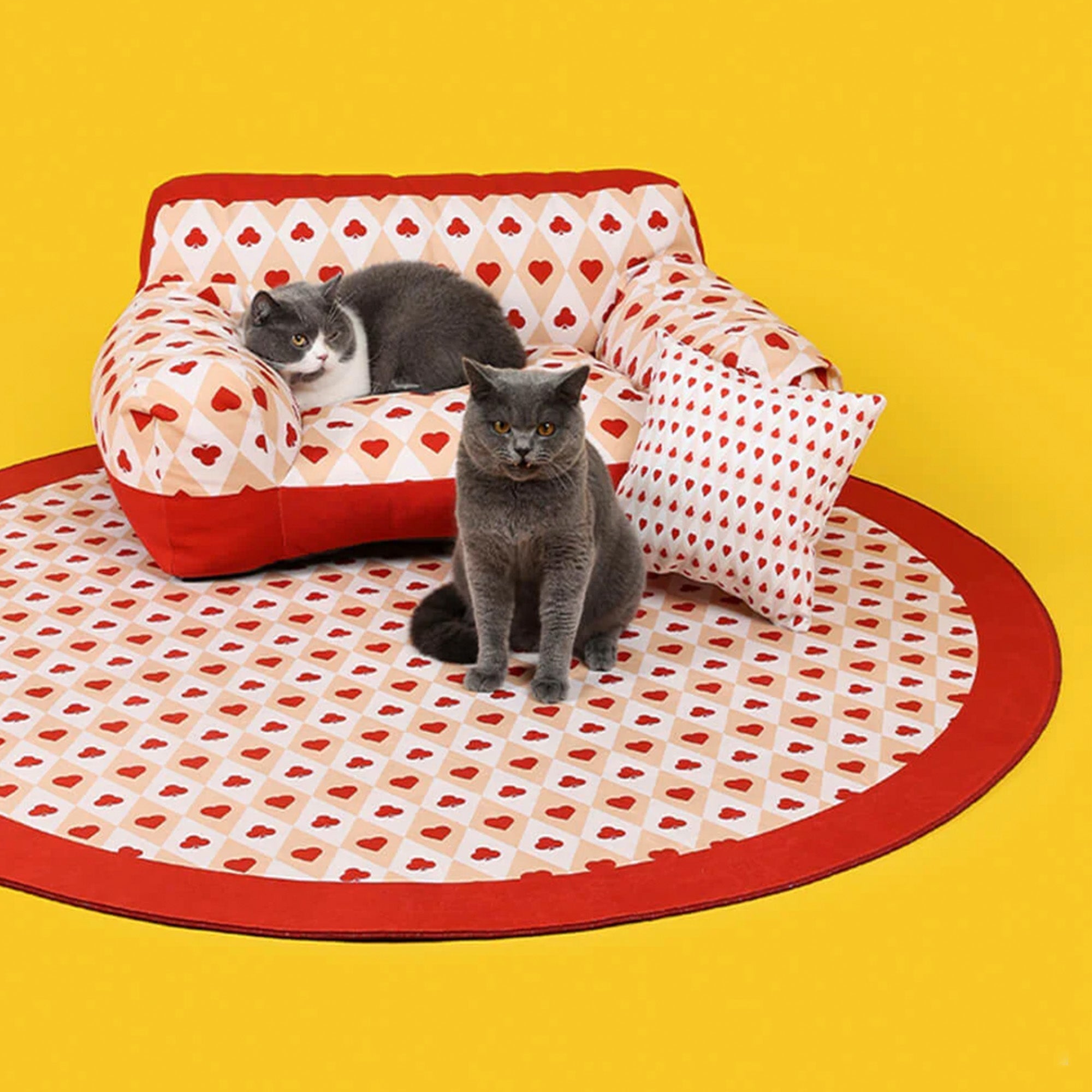 Graue Katzen auf rotem Herz-Poker-Haustiersofa mit passendem Kissen und Teppich vor gelbem Hintergrund.