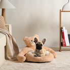 Französische Bulldogge in beigem Teddybär-Hundebett, gemütliches Wohnzimmer, modernes Design.