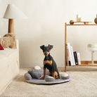 Hund auf grauer Kuscheldecke mit Spielzeug, Wohnzimmer, modernes Design, gemütlich, Haustierbedarf.