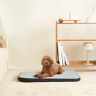Hund auf wasserdichtem Hundebett, hellgrau, im Wohnzimmer, modernes Design, bequem.