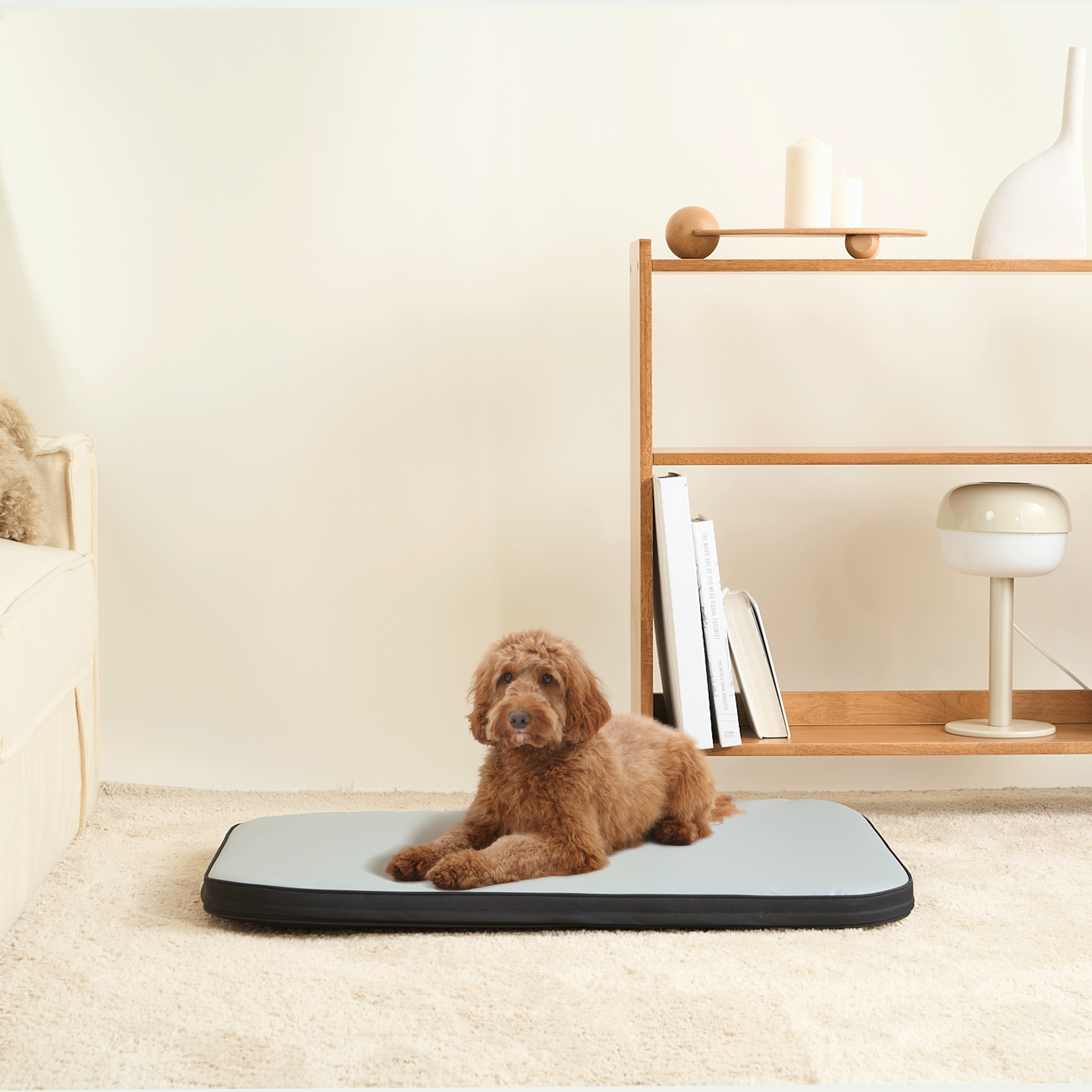 Hund auf wasserdichtem Hundebett, hellgrau, im Wohnzimmer, modernes Design, bequem.