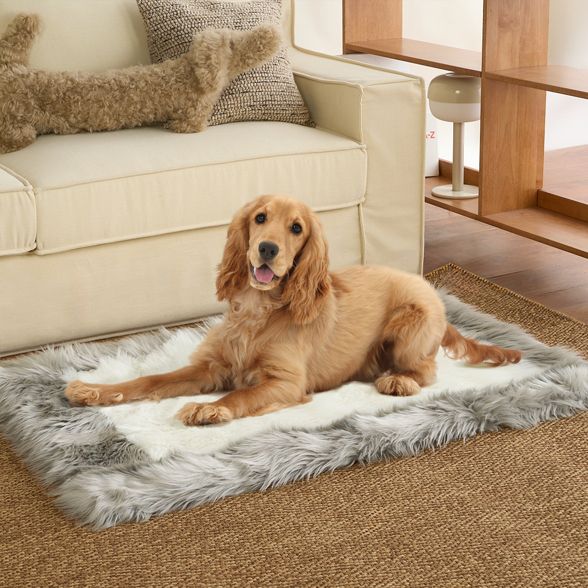 Beiger Hund auf flauschiger, grauer Haustiermatte im Wohnzimmer, gemütliche Heimdekoration.