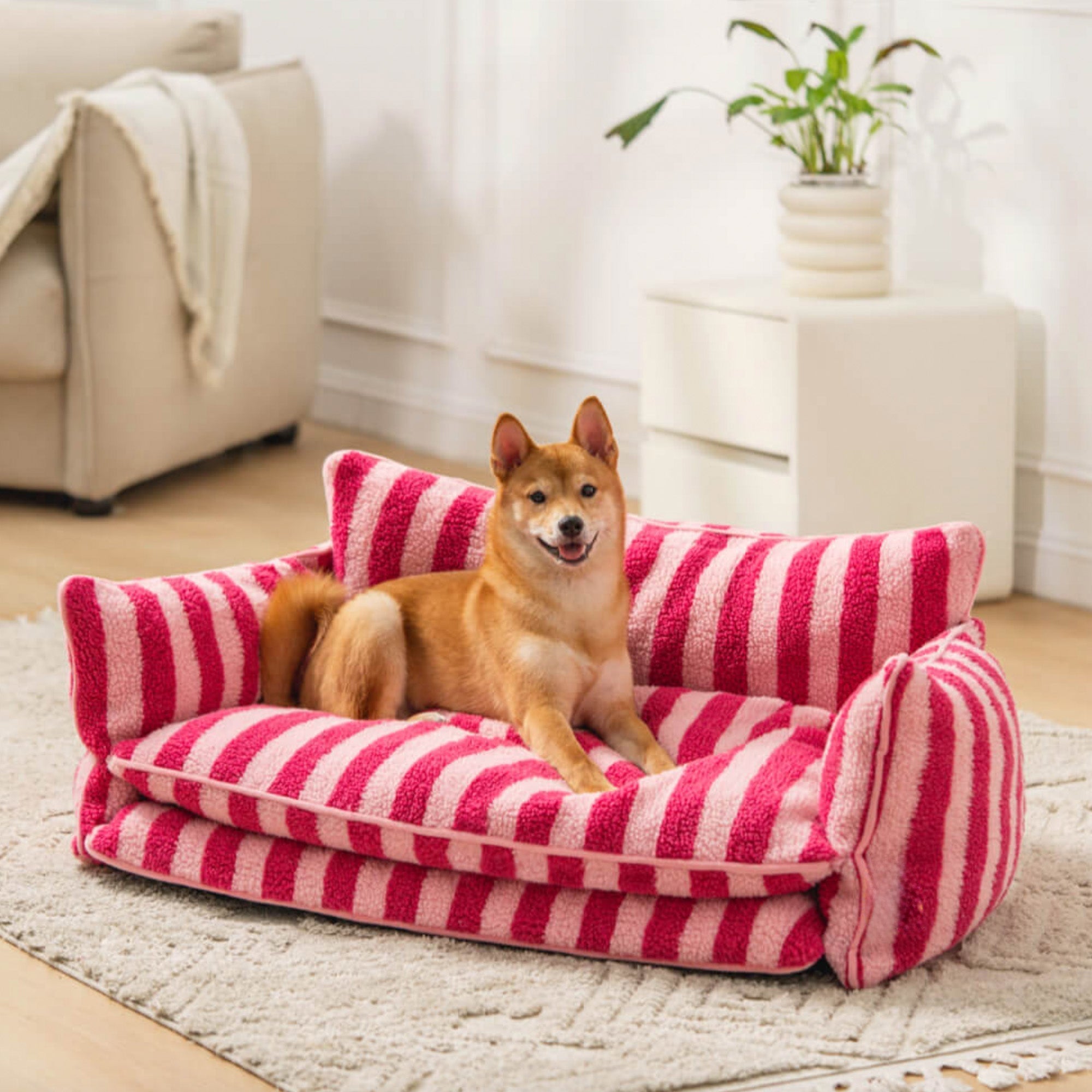 Rosa-weiß gestreiftes Hundebett aus Kunstlammwolle, doppellagig, mit Hund im Wohnzimmer.