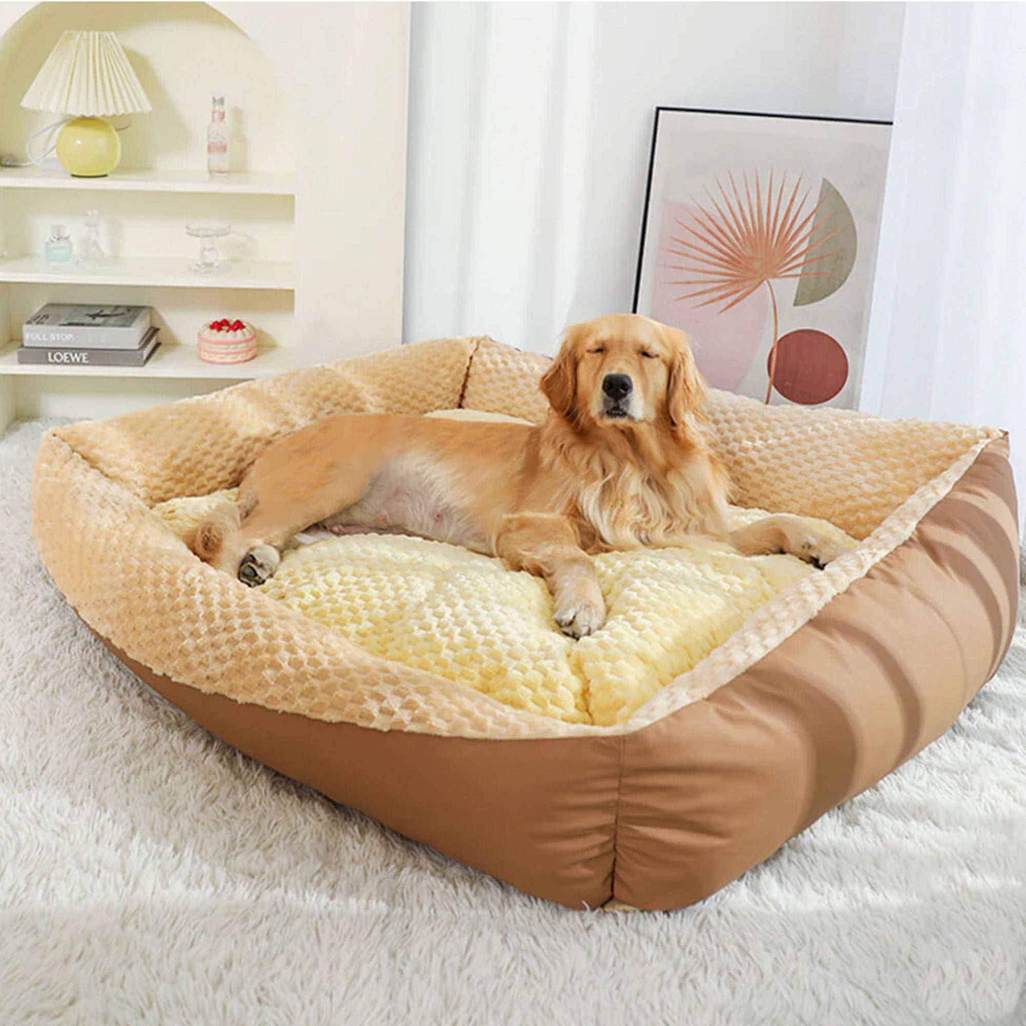 Golden Retriever auf beigem, plüschigem, orthopädischem Hundebett im Wohnzimmer.