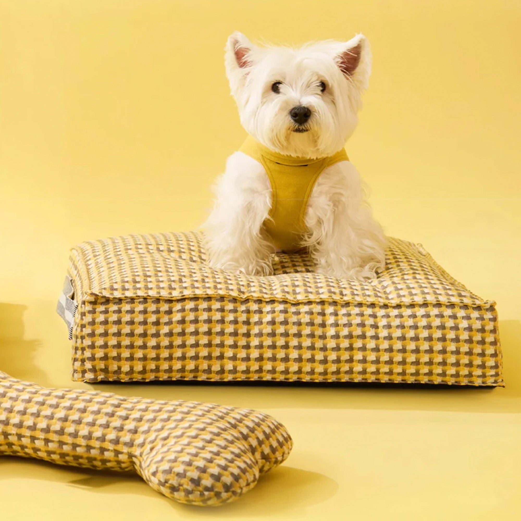Weißer Hund auf gelbem, kariertem Hundebett mit passendem Spielzeug, beruhigend, gemütlich.