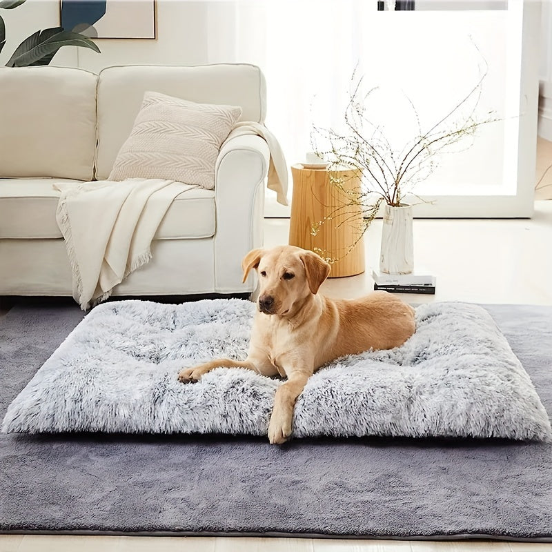 Gelber Labrador auf grauem, flauschigem Hundebett im Wohnzimmer, neben weißem Sofa.