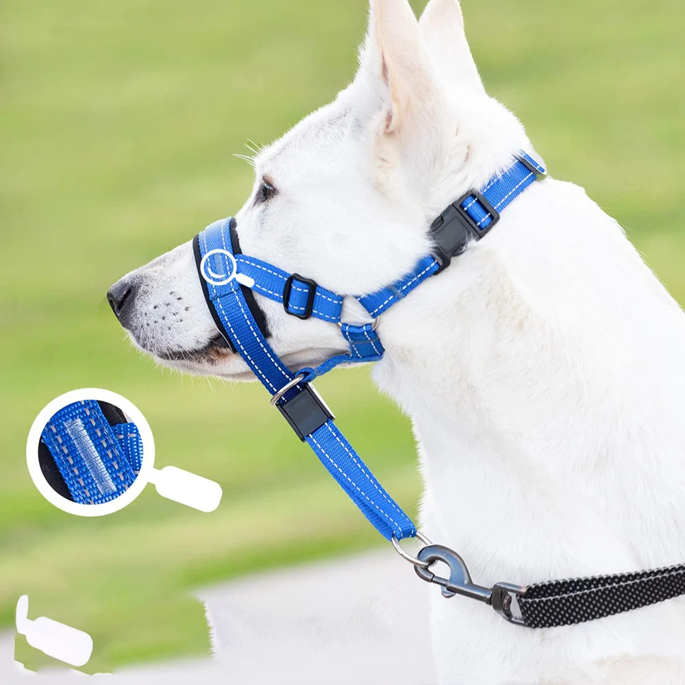 Hund mit blauem Halti-Geschirr, ideal für Training und Kontrolle. Bequemes, verstellbares Design, robustes Material. Perfekt für große Hunde.