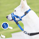 Hund mit blauem Halti-Geschirr, ideal für Training und Kontrolle. Bequemes, verstellbares Design, robustes Material. Perfekt für große Hunde.