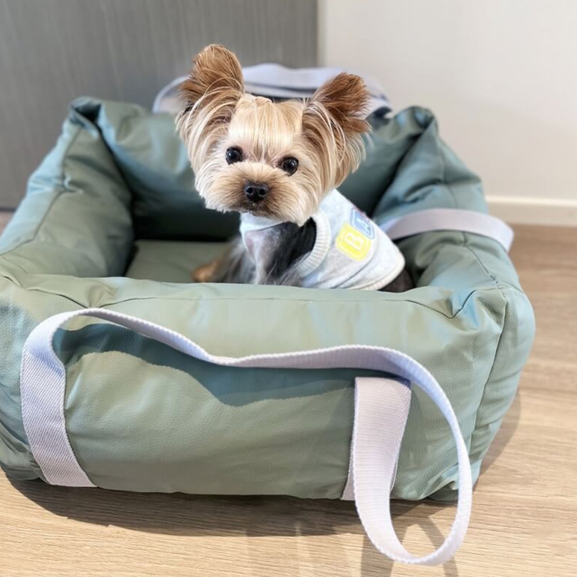 Kleiner Hund in grünem, wasserdichtem Autositz für Hunde, Reise-Sicherheit, großer Raum.