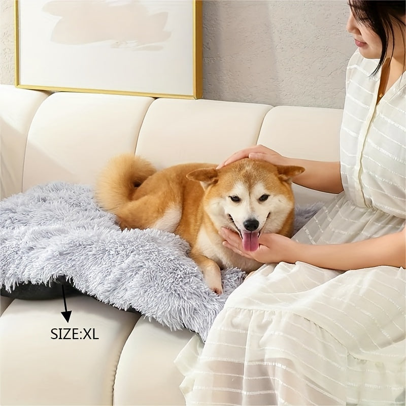 Frau streichelt Shiba Inu auf grauem XL-Hundebett auf weißem Sofa.