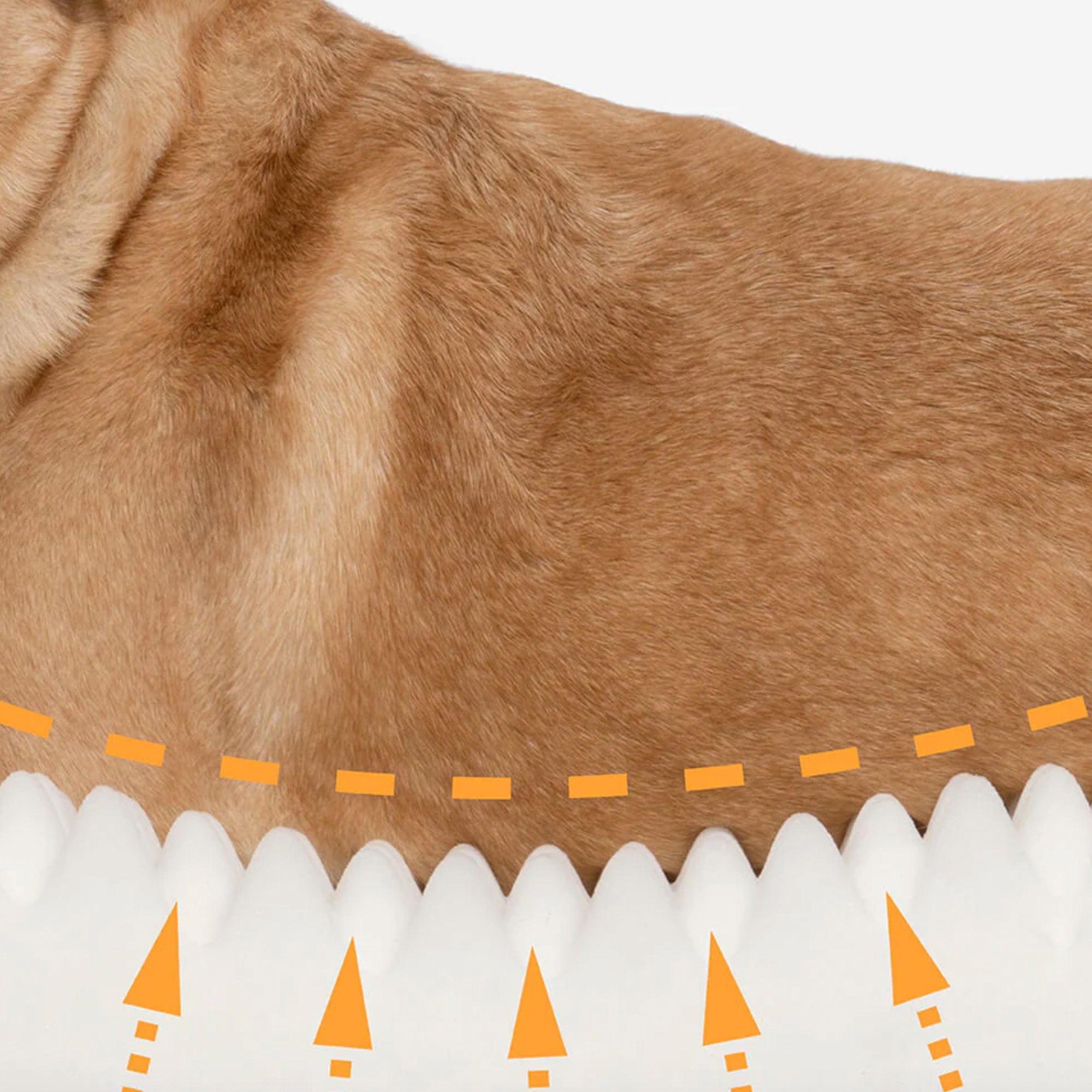 Braunes Hundebett aus Plüsch, gemütlich und stilvoll, ideal für Haustiere, Premium-Qualität.